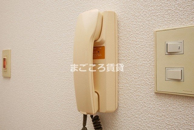 ステュディオ堺フェニックスのその他写真
