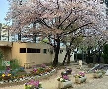 小学校　芦屋市立潮見小学校（小学校）まで313m