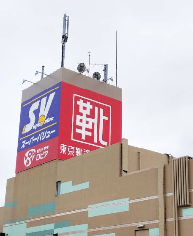 スーパー　スーパーバリュー松戸五香店（スーパー）まで446m