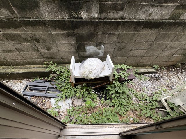 庭