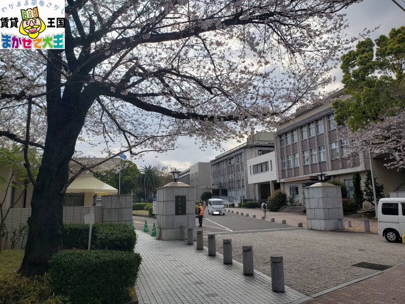 【西彼杵郡長与町高田郷のアパートの大学・短大】