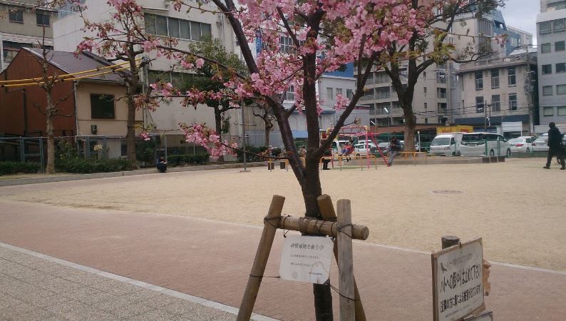 公園　久宝公園（公園）まで217m