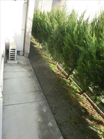 バルコニー　日当たりのいいテラス