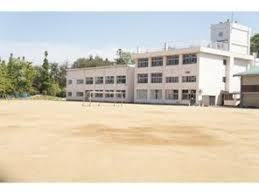 小学校　仙台市立折立小学校（小学校）まで554m