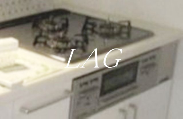 その他部屋・スペース　ガスコンロです。