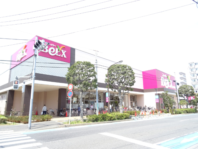 スーパー　ベルクス中葛西店（スーパー）まで310m