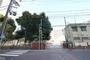 中学校　冨士中学校（中学校）まで530m