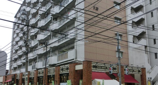 スーパー　いなげや入谷店（スーパー）まで228m