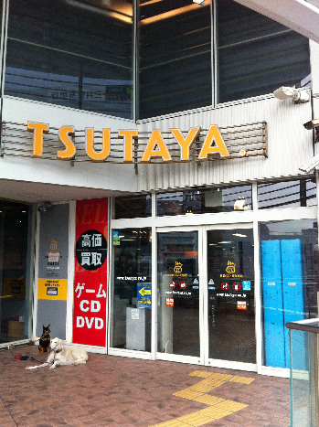 ショッピングセンター　TSUTAYA 茅ヶ崎駅前店（ショッピングセンター）まで340m