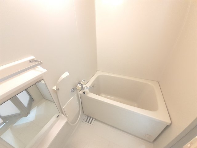 バス・シャワールーム　落ち着いた空間のお風呂です
