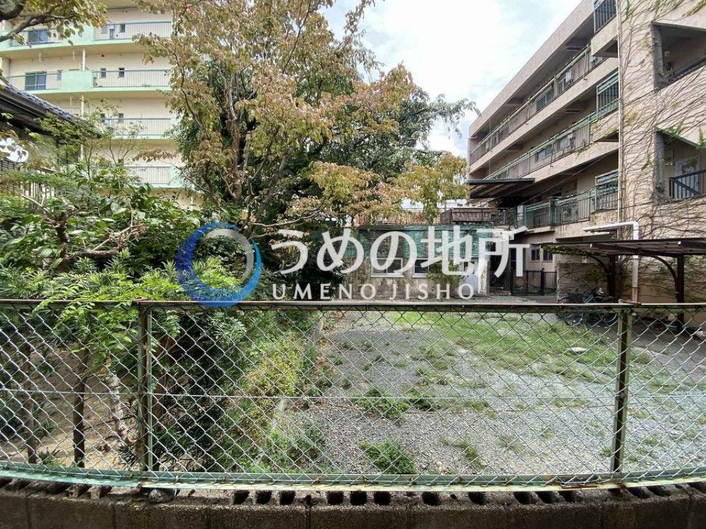 眺望　眺望