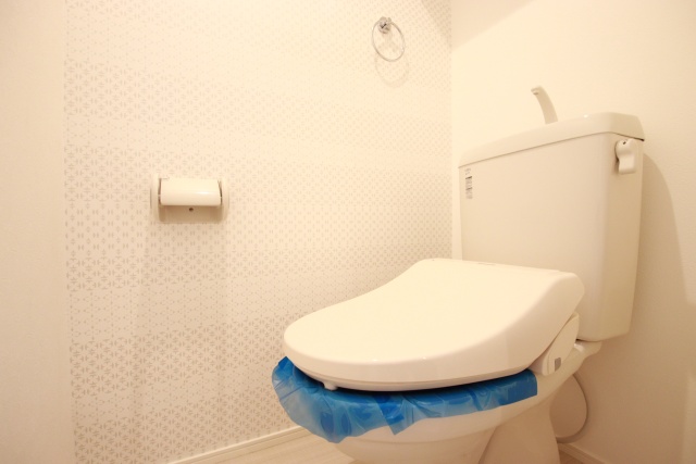 ディオステージ新栄のトイレ写真