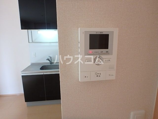 シュトラルヴェヌスのその他写真