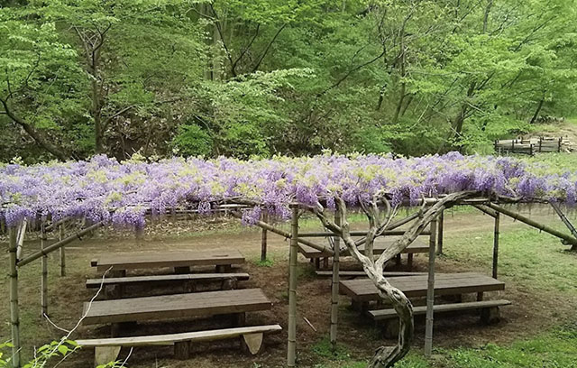 【リバーサイドハイツの公園】