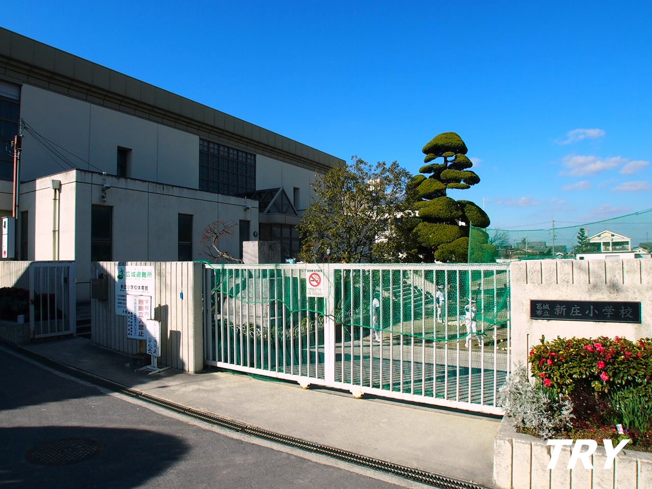 小学校　葛城市立新庄小学校（小学校）まで1664m