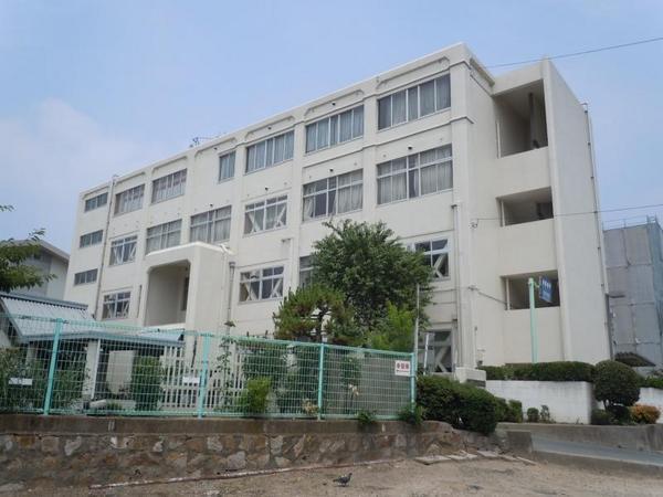 中学校　倉敷市立南中学校（中学校）まで907m