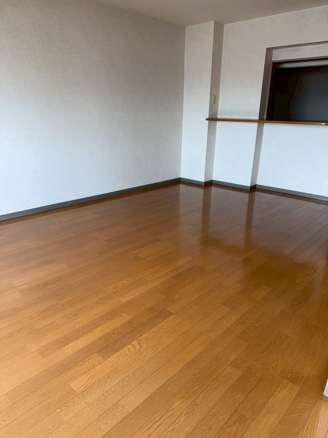 フィールドサンの居間写真
