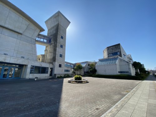 中学校　千葉市立打瀬中学校（中学校）まで435m