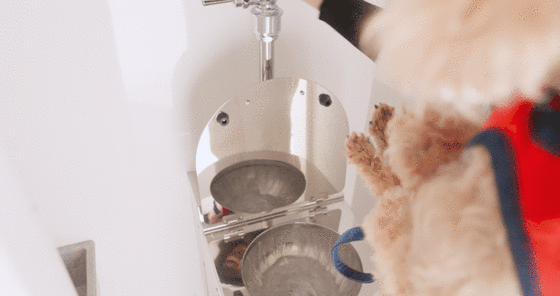 トイレ　ペット専用トイレ