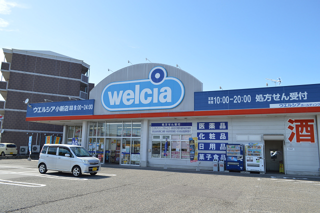 ドラックストア　ウエルシア新潟小新店（ドラッグストア）まで1101m