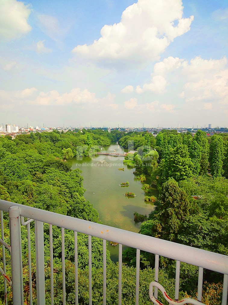公園　OC tokyo(オーシー トーキョー) 井の頭公園店（公園）まで859m