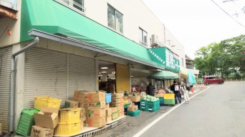 スーパー　業務スーパー 鉢塚店（スーパー）まで365m