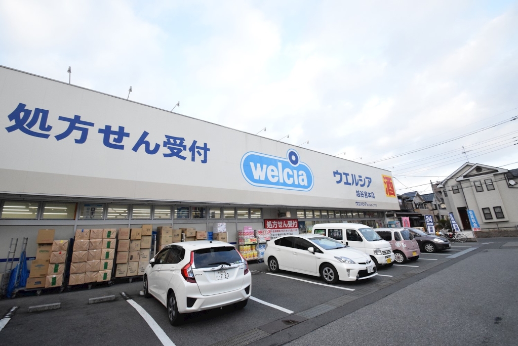 ドラックストア　ウェルシア（ドラッグストア）まで733m