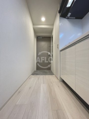 玄関　ファステート難波デラックス　玄関