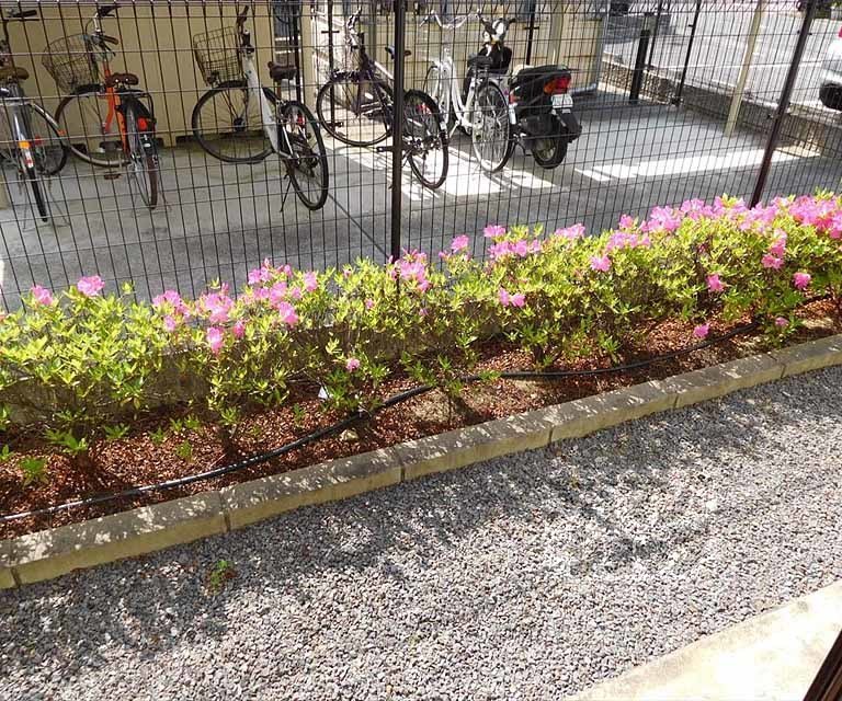 眺望　１Ｆからの眺望