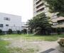 公園　皆山児童公園（公園）まで100m