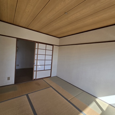 居室・リビング　南面リビング