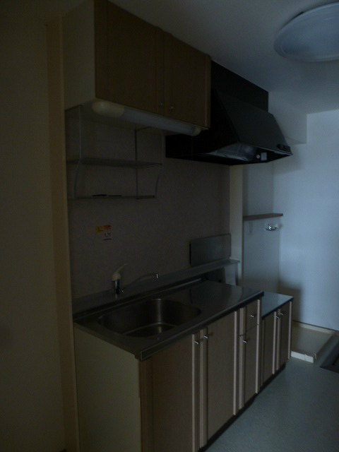 キッチン　写真は101号室です（参考）