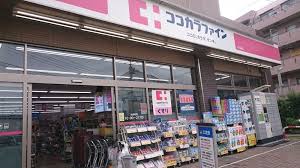 ドラックストア　ココカラファイン二子玉川（ドラッグストア）まで1072m