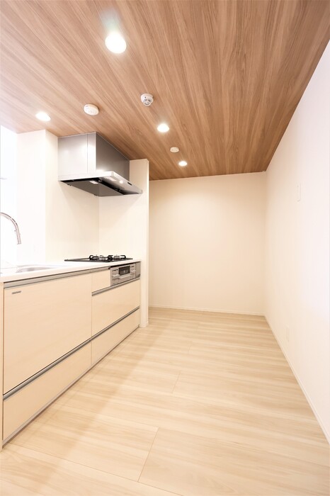 キッチン　アルカディア中山