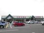 スーパー　とりせん羽川店（スーパー）まで856m