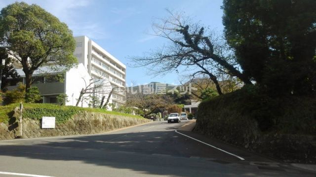 大学・短大　長崎大学医学部（大学・短大）まで712m