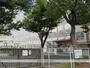 中学校　白山中学校（中学校）まで246m