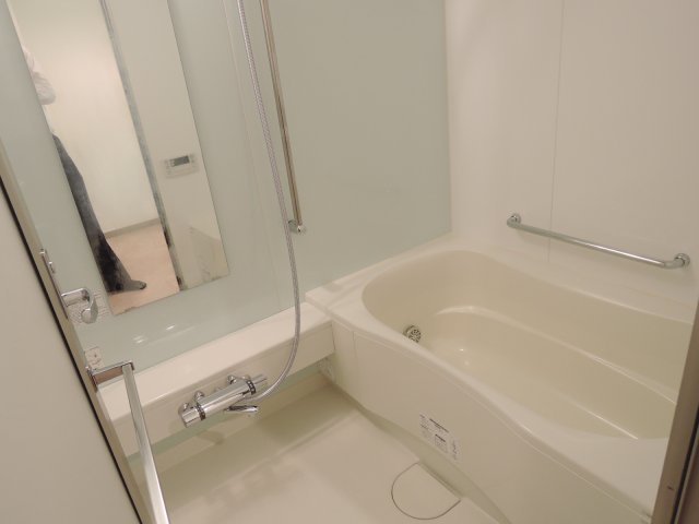 バス・シャワールーム　同一タイプです。