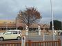 幼稚園・保育園　青空保育園（幼稚園・保育園）まで3857m
