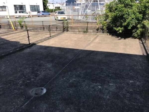 庭