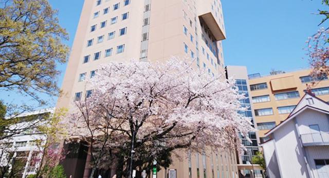 大学・短大　私立日本女子大学人間社会学部（大学・短大）まで2292m