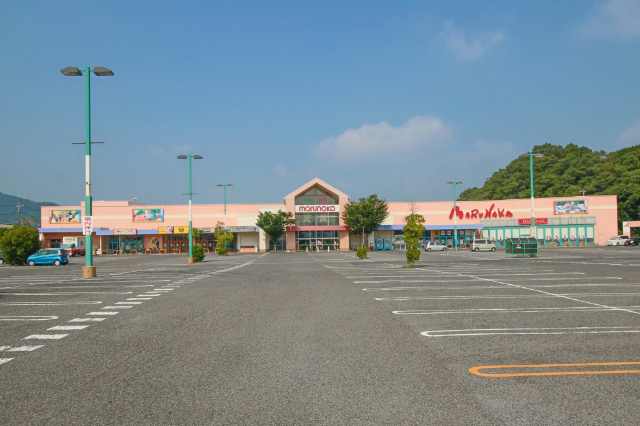 スーパー　マルナカ平島店（スーパー）まで355m