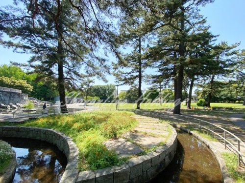 公園　相模大野中央公園（公園）まで5400m