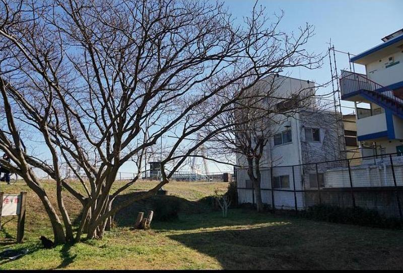 公園　青戸南自然の広場（公園）まで150m