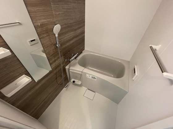 バス・シャワールーム　※別部屋の写真です