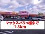 スーパー　マックスバリュ様（スーパー）まで1300m