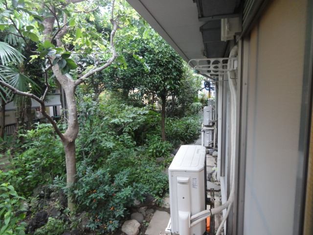 庭