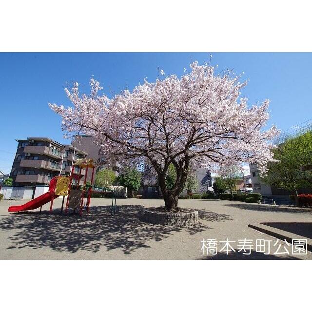 公園　橋本寿町公園（公園）まで174m