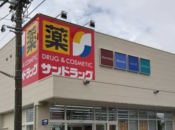 ドラックストア　徒歩（ドラッグストア）まで300m
