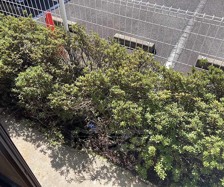 レオパレスマ メゾンIIの内装写真